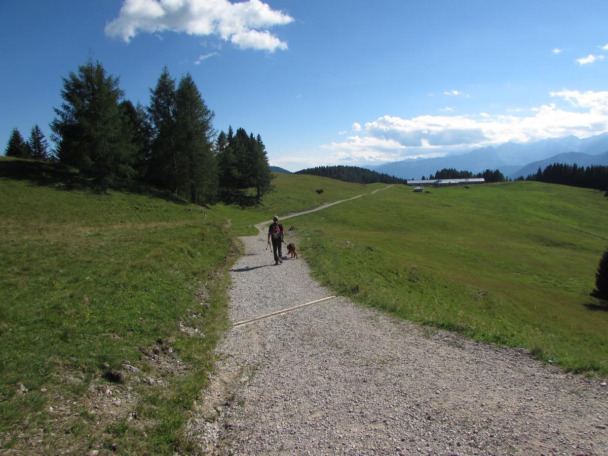 Cortalta Mountain Lodge Fai della Paganella Exteriör bild